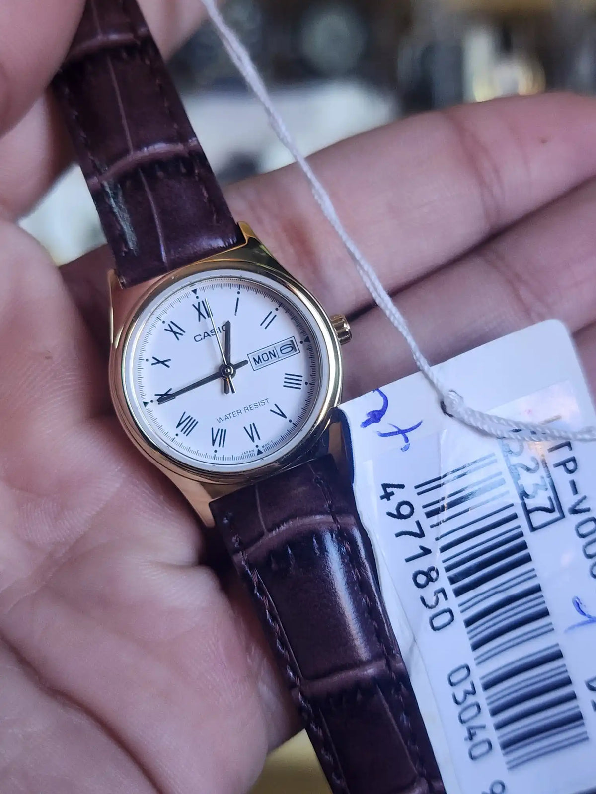 Casio LTP v006 vintage women