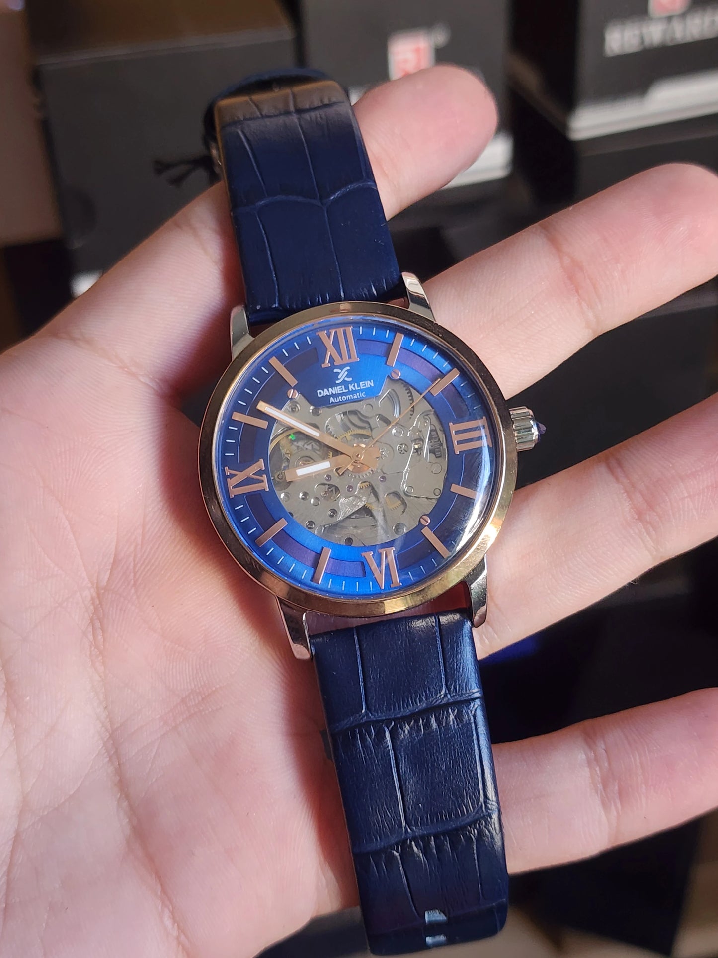 Daniel klein automatic limited skeleton